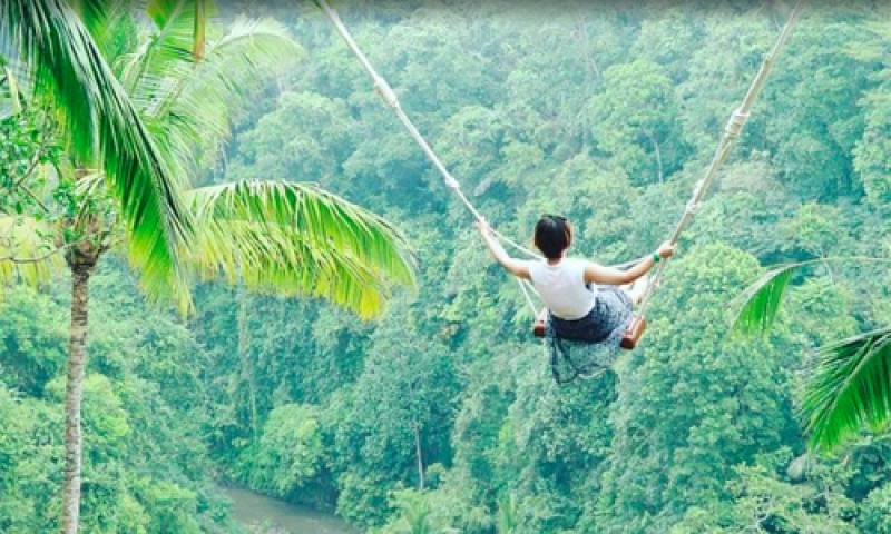 Jungle Swing